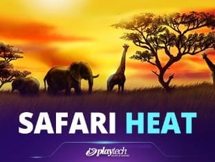 Safari Heat game icon